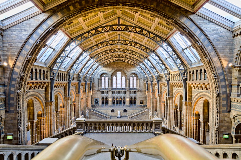 View of the grand interior of the Natural History Museum South Kensington showing an expansive vaulted ceiling with intricate ironwork and large glass skylights illuminating the space. The architectural details include ornate stone arches and columns along the upper level, with a balustrade overlooking the main floor. Tall, narrow windows with rounded tops are visible at the far end, allowing natural light to enter. The museum's interior features a spacious, open gallery with wooden flooring, and decorative lighting mounted on the walls. In the foreground, a brass railing is seen, suggesting the photo was taken from a balcony or upper level overlooking the main hall, capturing the impressive scale and historical architectural style of the building. This image emphasizes the museum's grandeur and is relevant for content related to house removals or moving services in the South Kensington area, such as those offered by Man with Van South Kensington.