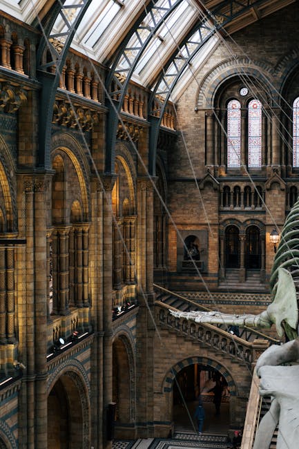 A large reconstructed dinosaur skeleton exhibit is suspended vertically inside the grand, historic interior of the Natural History Museum in South Kensington, with its long spine, ribcage, and skull visible beneath a high, arched glass roof supported by wooden beams. The museum hall's stone walls feature tall, narrow stained glass windows, allowing natural light to illuminate the display. Visitors are walking around the open space on the lower level, some looking up at the skeleton, while others take photographs or observe the museum’s architecture. Although the image depicts a busy public space, it does not show any moving services, furniture, or packing materials, indicating it is a visitor scene rather than a removal or packing process. The photograph is used here to illustrate the museum's interior, aligning with content about house removals or relocation services near South Kensington’s cultural landmarks, as provided by Man with Van South Kensington.