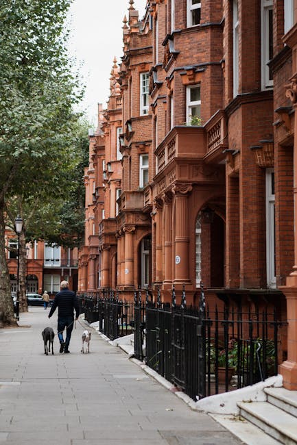 A man, dressed in dark clothing, walks along a residential sidewalk with two dogs—one black and one white—near a row of historic red-brick Victorian-style houses with ornate architectural details such as bay windows, cornices, and decorative brickwork. The scene is set during daylight hours, with an overcast sky casting diffuse light. A black metal fence runs parallel to the sidewalk, separating the pedestrian pathway from the front gardens of the houses. The sidewalk is paved with large concrete slabs, and there are trees lining the street, providing greenery amidst the urban setting. The man appears to be engaged in a home relocation process, potentially involving furniture transport or packing preparations, supported by the nearby context of house removals services. This scene reflects a typical residential street in South Kensington, with subtle indications of a moving-related activity occurring in the community, consistent with services offered by Man with Van South Kensington.